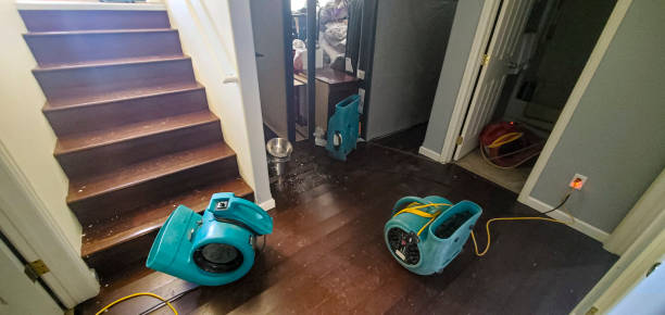 Best Water damage contractors near me  in Napili Honokowai, HI