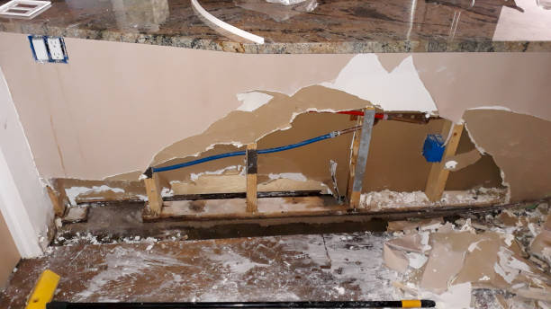 Best Local water damage restoration  in Napili Honokowai, HI
