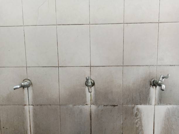 Best Commercial water damage restoration  in Napili Honokowai, HI