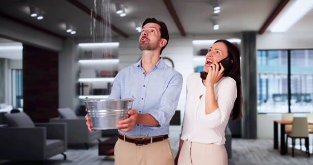 Best 24/7 water damage repair  in Napili Honokowai, HI